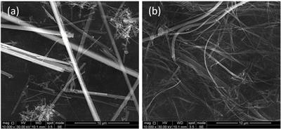 Challenging Global Waste Management – Bioremediation to Detoxify Asbestos